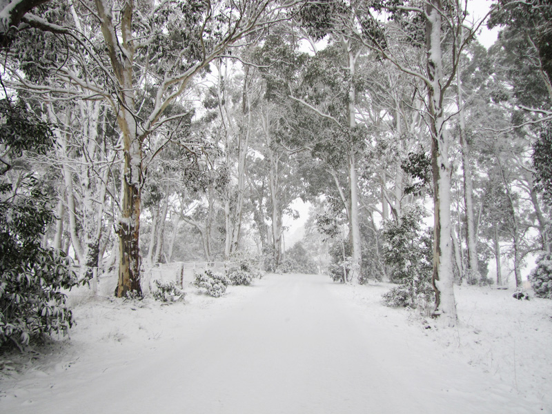 Winter Snow